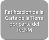 Imagen 10